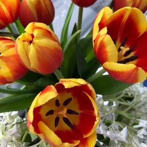 Meet your Posher, Orie